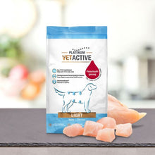 PLATINUM VETACTIVE Light Huhn