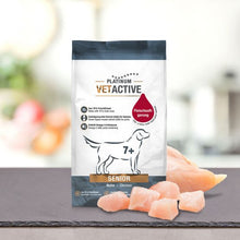 PLATINUM VETACTIVE Senior Huhn