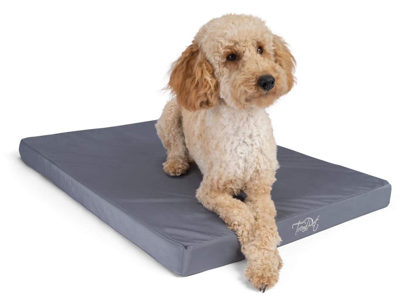 TrendPet VitaMedog Wet Orthopädischer Hundematratze