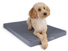 TrendPet VitaMedog Wet Orthopädischer Hundematratze
