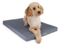 TrendPet VitaMedog Wet Orthopädischer Hundematratze