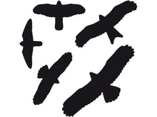 Vogelbilder Schutz 5er