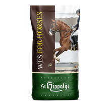 St.Hippolyt WES Gastro Beet 20 kg