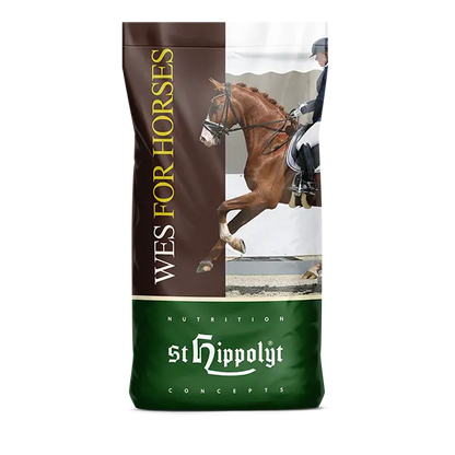 St.Hippolyt WES Gastro Beet 20 kg