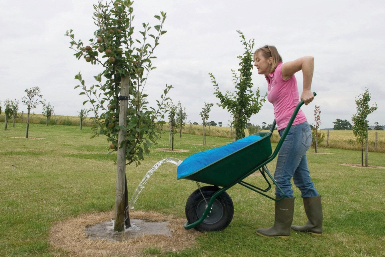 Kerbl H2GoBag Wheelbarrow Water Container