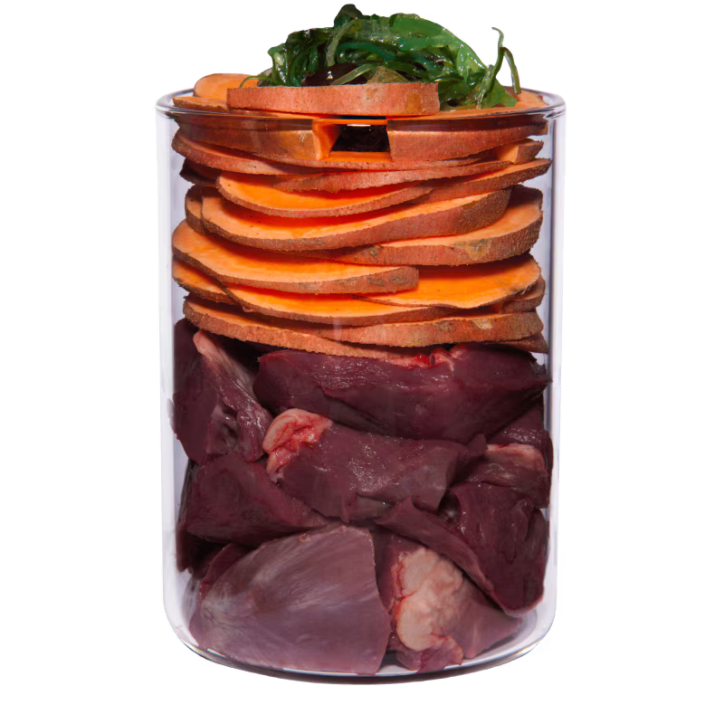 Terra Canis Wasserbüffel + Süßkartoffel, Hypoallergen, getreidefrei
