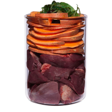 Terra Canis Water Buffalo + Sweet Potato, Hypoallergenic, grain-free