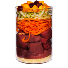 Terra Canis Venison+Pumpkin+Cranberries+Amaranth