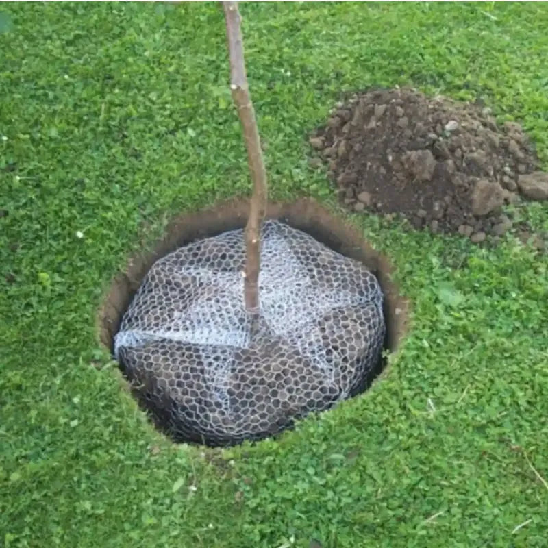 Siena Garden Wühlmauskorb verzinkt Ø 35 cm