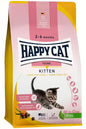 Happy Cat Young Kitten Land Geflügel