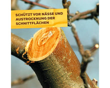 Solabiol Bio Baumwundverschluss 1 kg