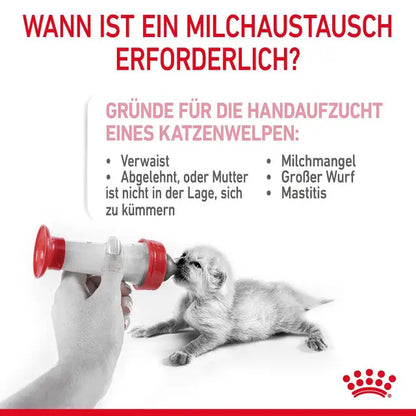 Royal Canin Babycat Milk