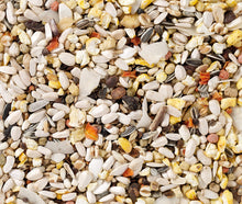 Beyers Deli Nature 64 Papageien Supreme