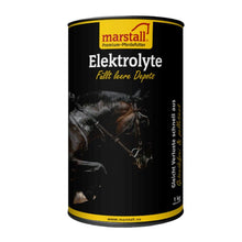 Marstall Elektrolyte 1 kg pelletiert