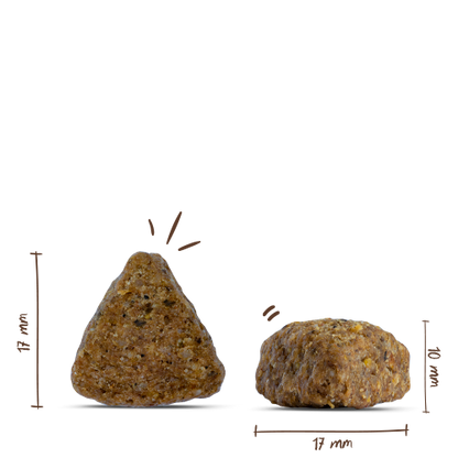 Bosch Adult Duck+Rice