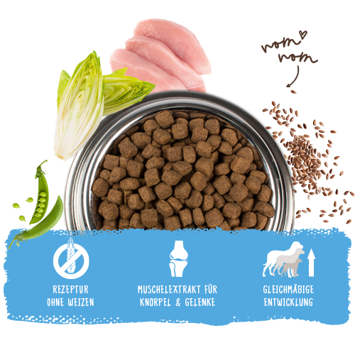 Bosch Dog Medium Junior 1kg