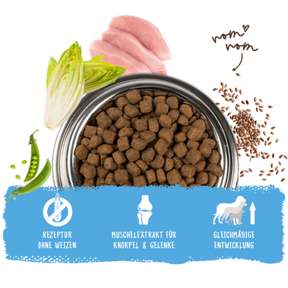 Bosch Dog Medium Junior 1kg