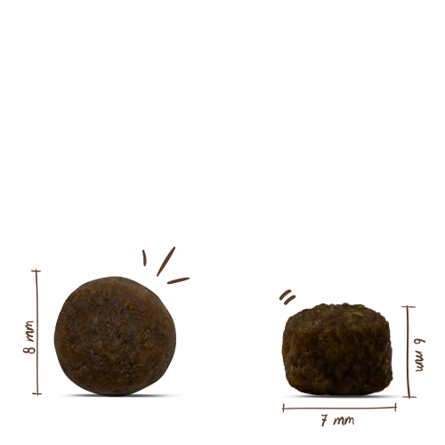 Bosch Dog Mini Lamb+Rice