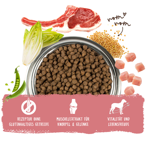 Bosch Dog Mini Lamb+Rice