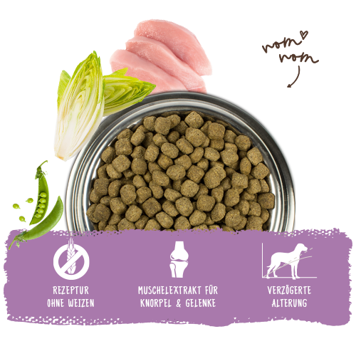 Bosch Dog Senior