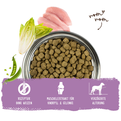 Bosch Dog Senior
