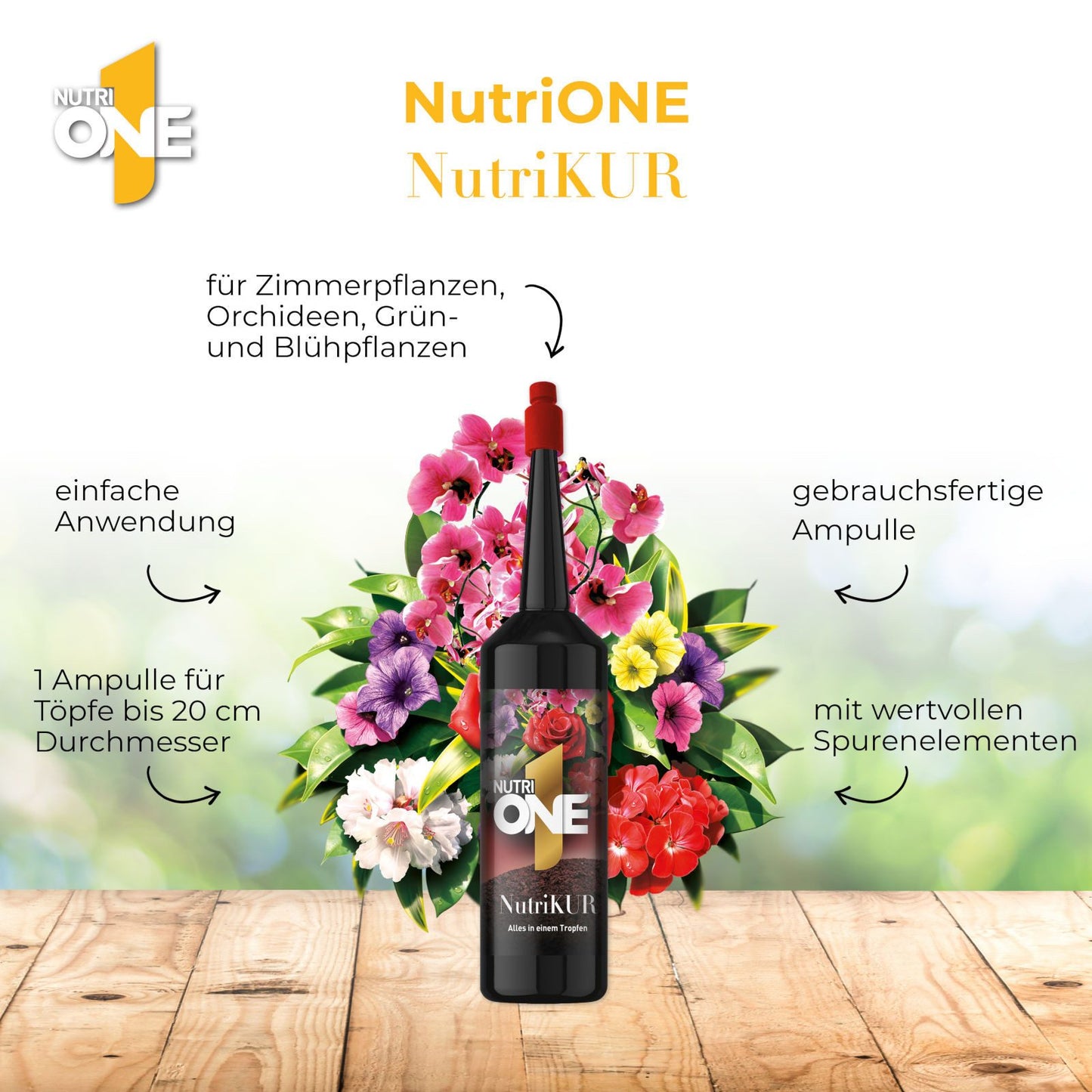 SBM Nutri One Pflanzenkur 6x32 ml