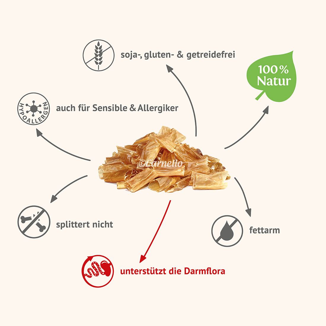 Carnello Hundechips 55g