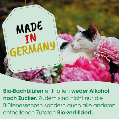 cdVet Bio-Bachblüten Quälgeist