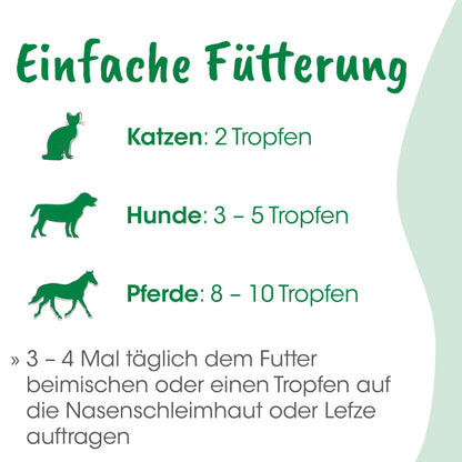 cdVet Bio-Bachblüten Quälgeist