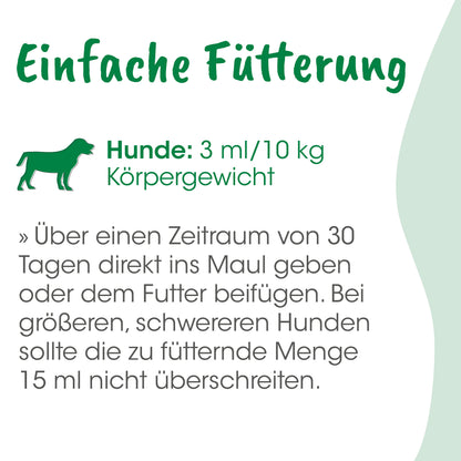 cdVet DarmRein Hund