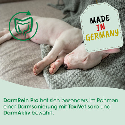 cdVet DarmRein Pro