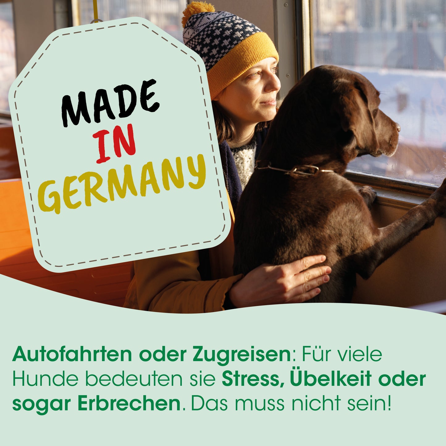 cdVet Gute Reise Kapseln für Hunde