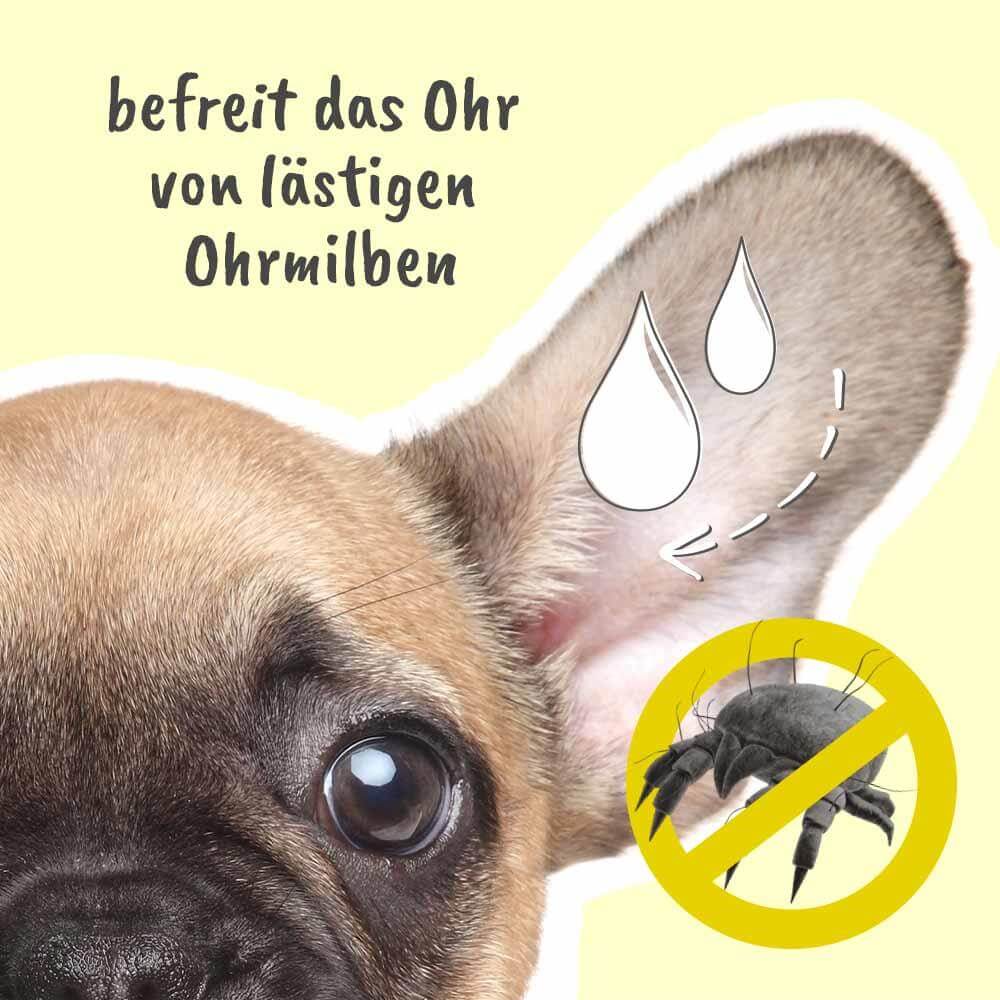 cdVet MilbenEx Ohrreiniger