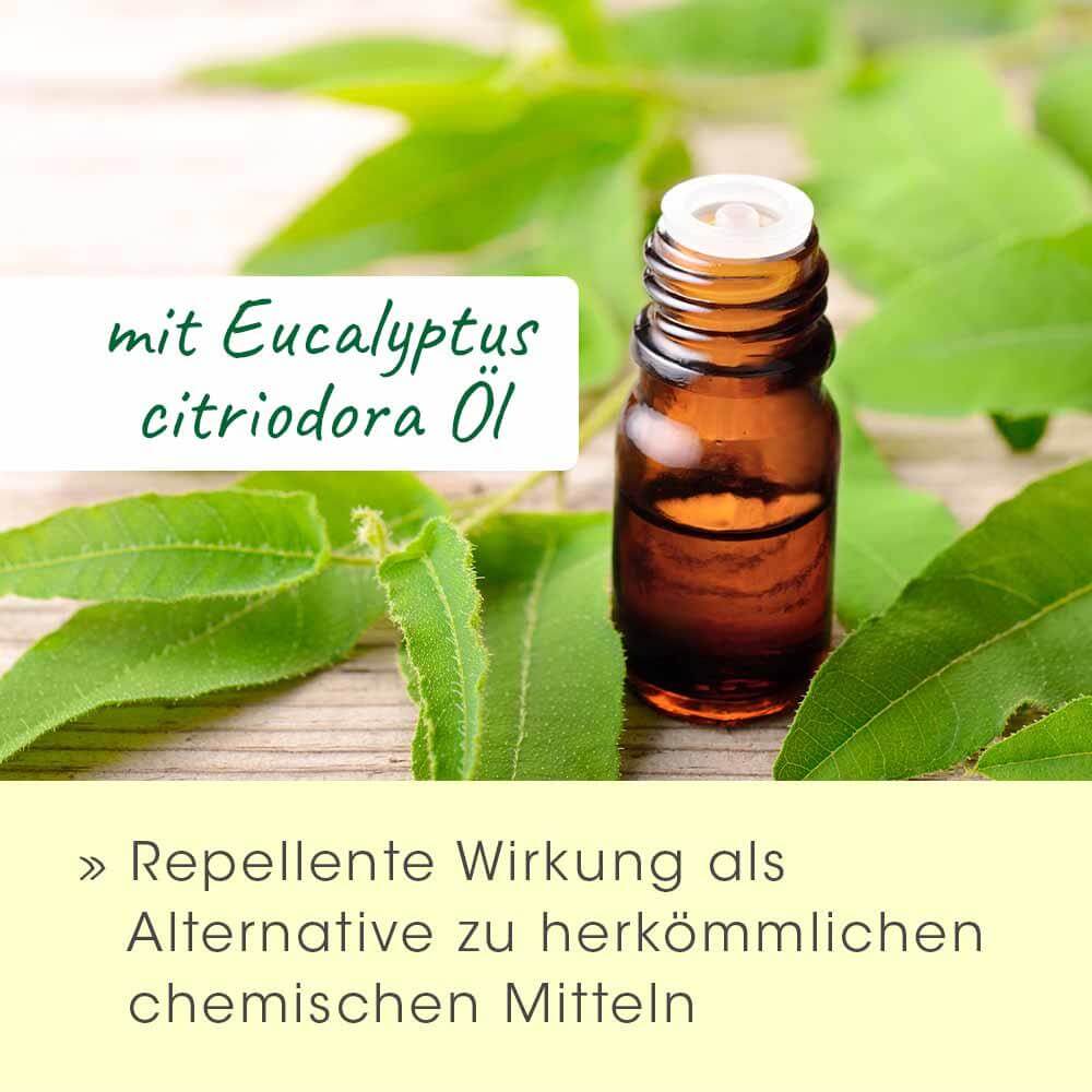 cdVet MilbenEx Ohrreiniger