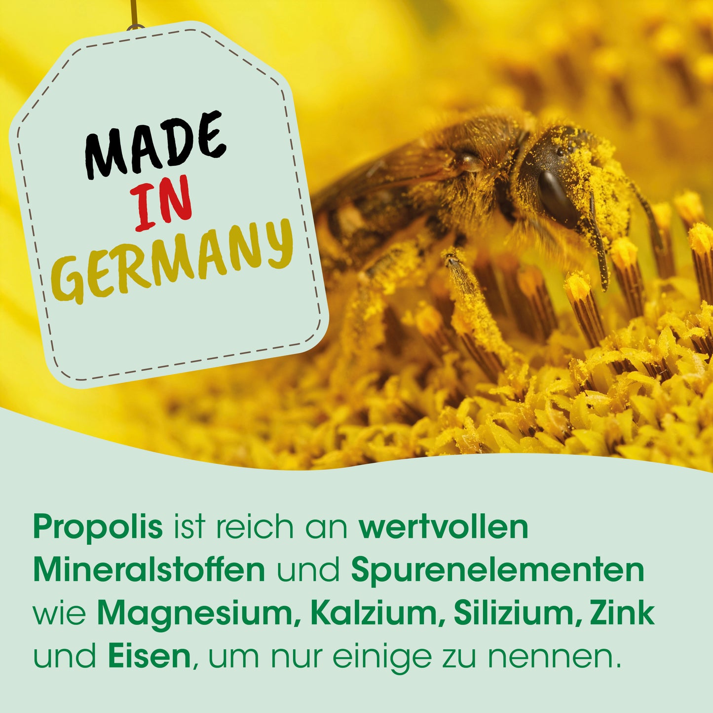 cdVet PropolisHerbal for Dogs, Cats, and Horses