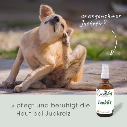 cdVet VeaVet JuckEx