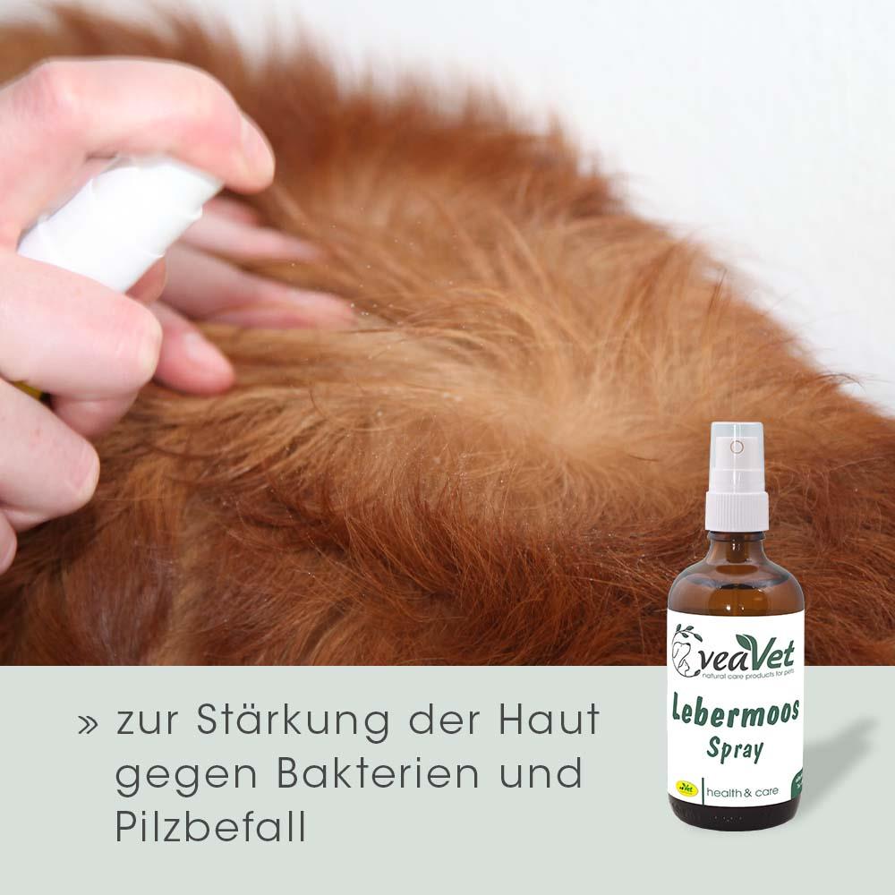 cdVet VeaVet Lebermoos Spray