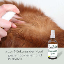 cdVet VeaVet Lebermoos Spray