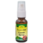 cdVet insektoVet Combi-Spray