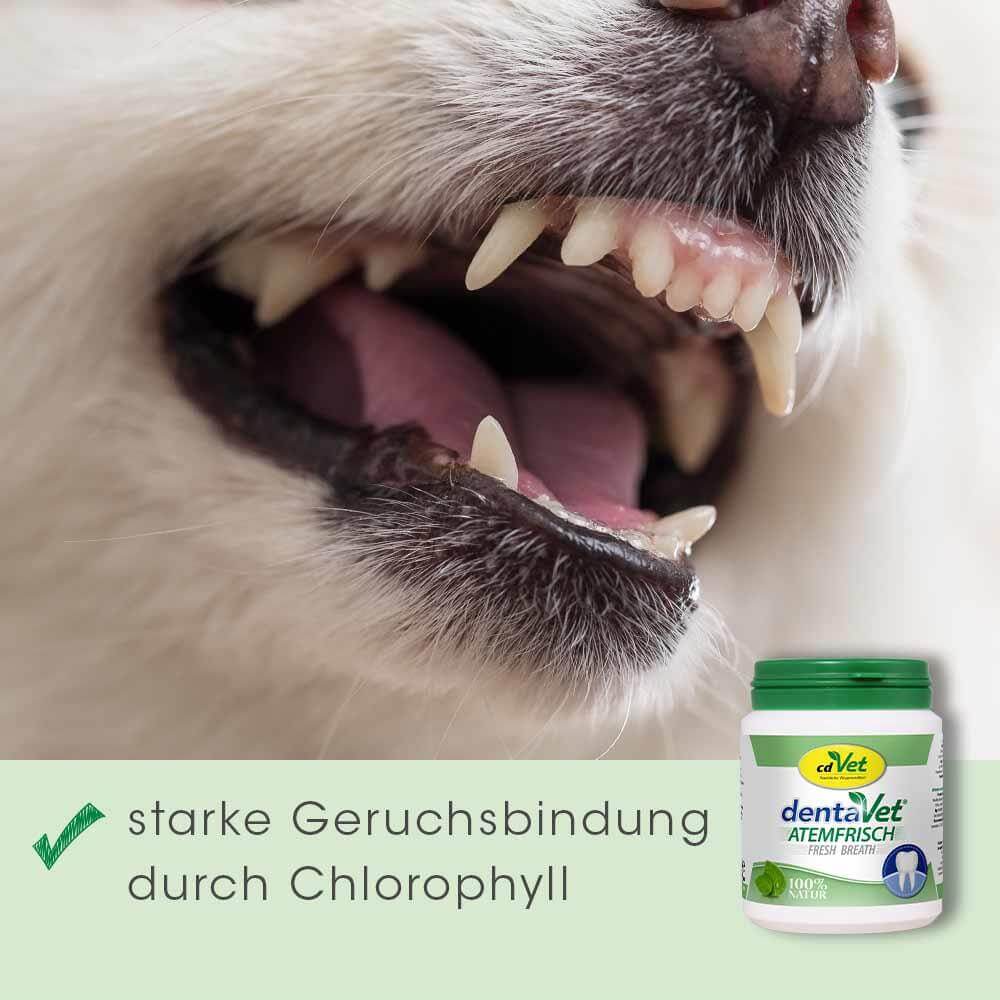 cdVet dentaVet Atemfrisch Pulver