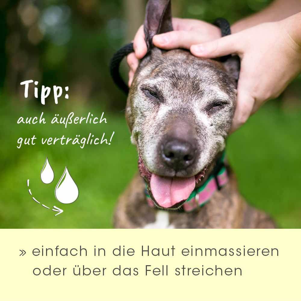 cdVet insektoVet Bio-Kokos-Schwarzkümmel-Öl 100 ml