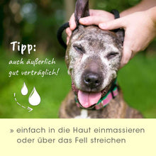 cdVet insektoVet Bio-Kokos-Schwarzkümmel-Öl 100 ml