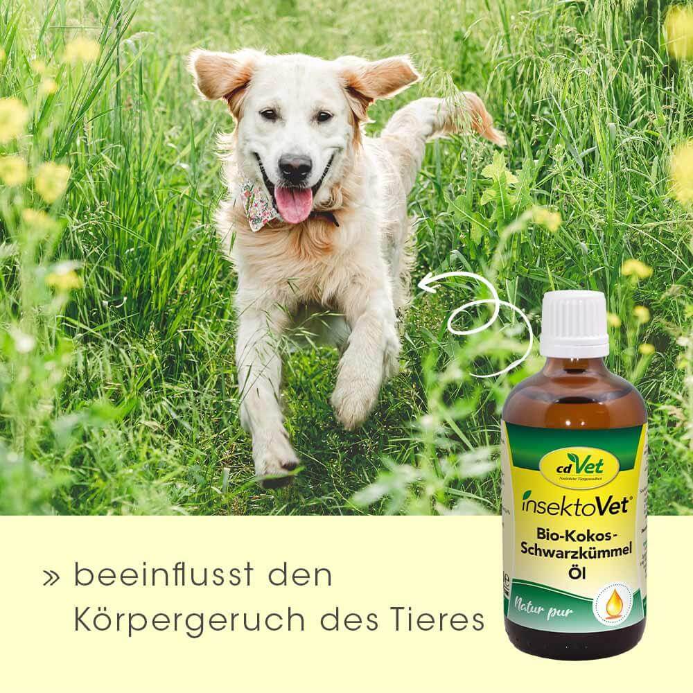 cdVet insektoVet Bio-Kokos-Schwarzkümmel-Öl 100 ml