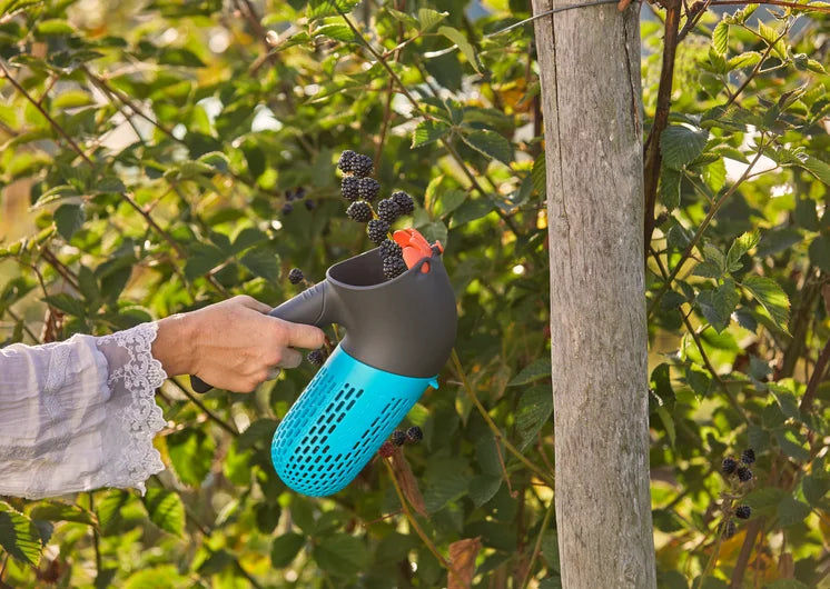 combisystem Berry Collector