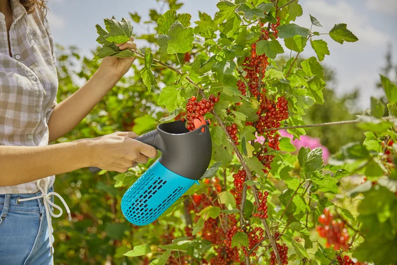 combisystem Berry Collector