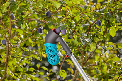 combisystem Berry Collector