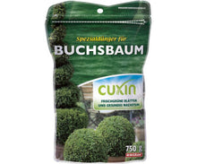 Cuxin WF Boxwood