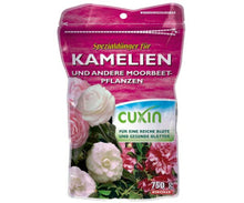 Cuxin WF Camellias