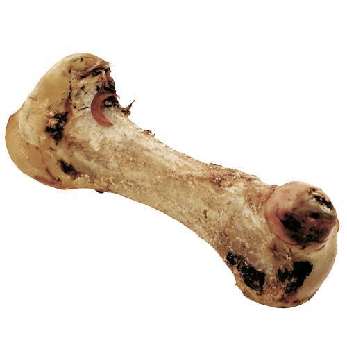Petman Knochen vom Strauß XXL ca. 30cm
