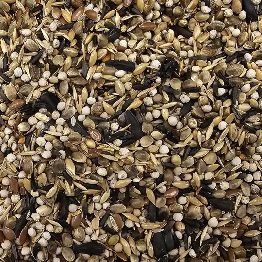 Beyers Deli Nature 97 -Stieglitze 15 kg
